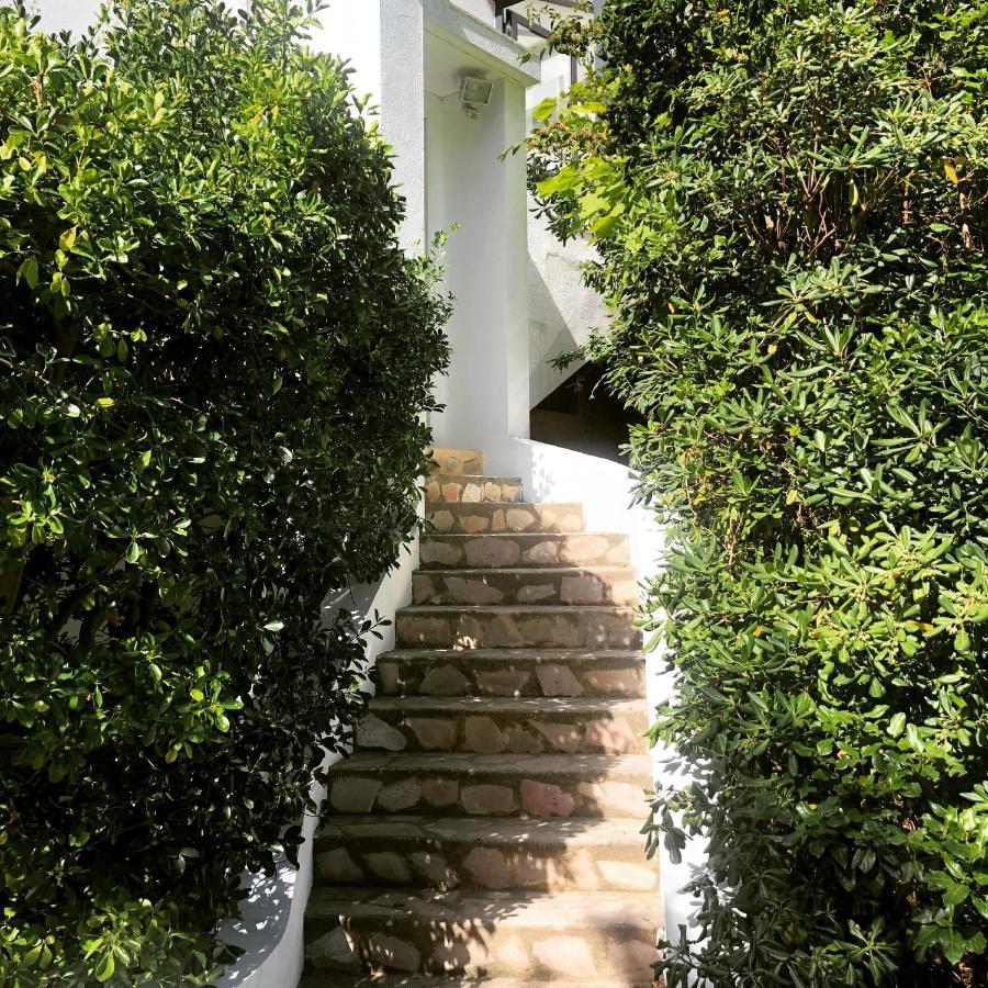 - Jardin Secret * Marseilles