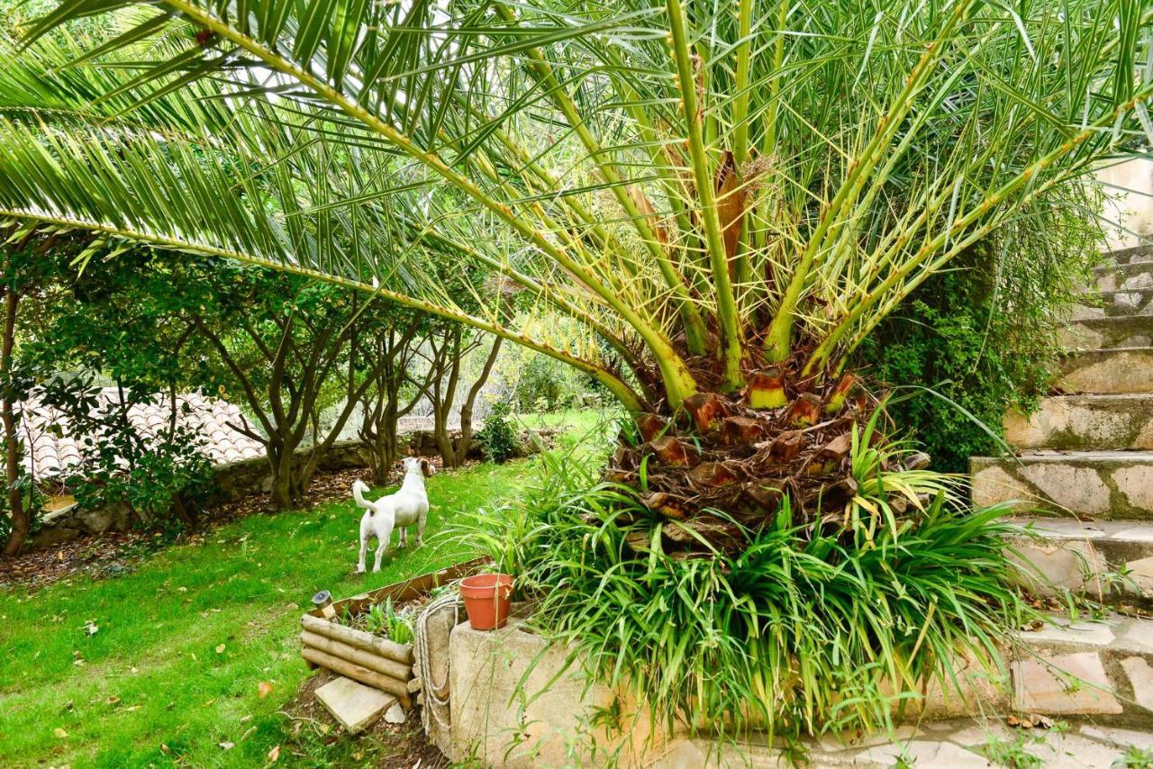 Apartment - Jardin Secret *